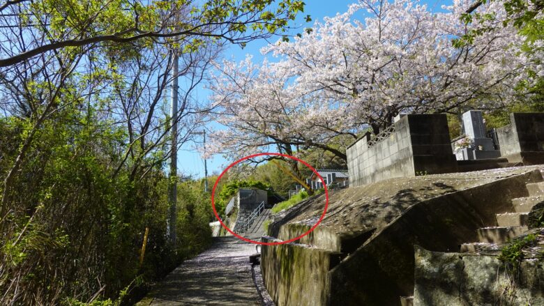 梵音寺が見えてきた(奥の建物)