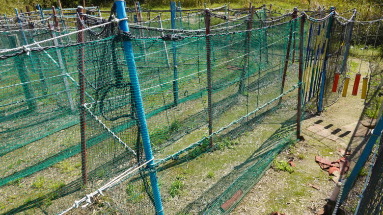 島迷路にチャレンジ