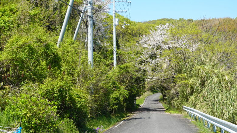 県道261号線の風景