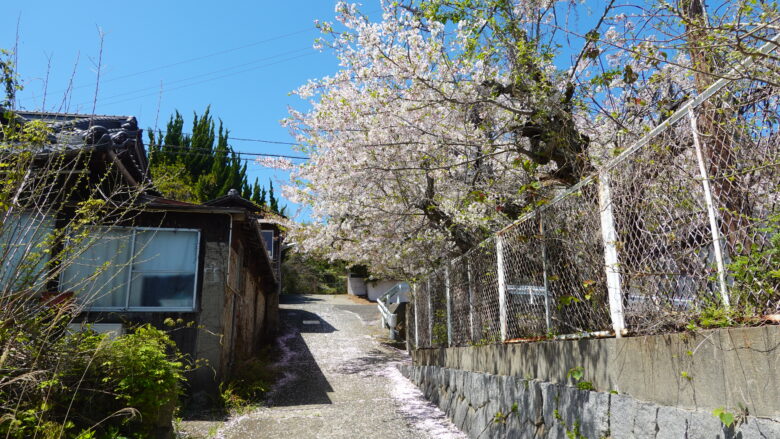 道なりに先へ進もう