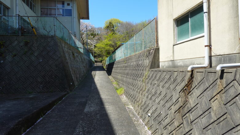 奥を歩く