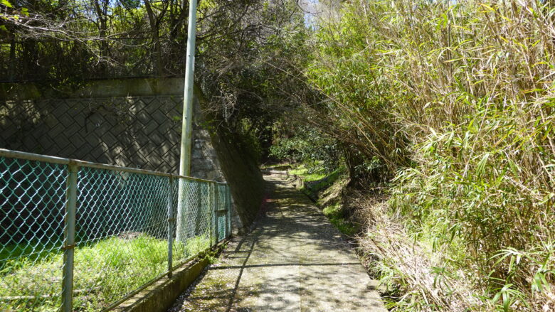 しだいに山の雰囲気に