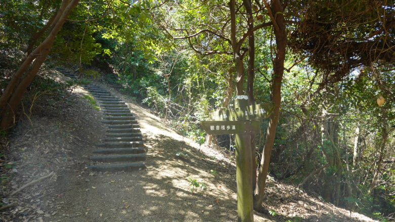 観音様歩道とは？