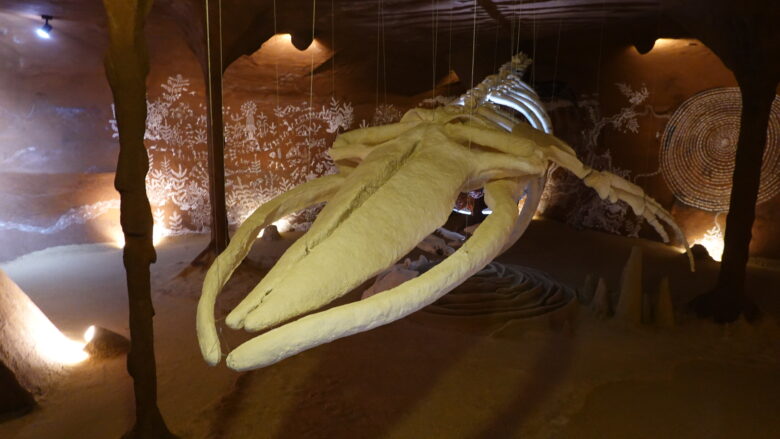 いきなりクジラの登場だ