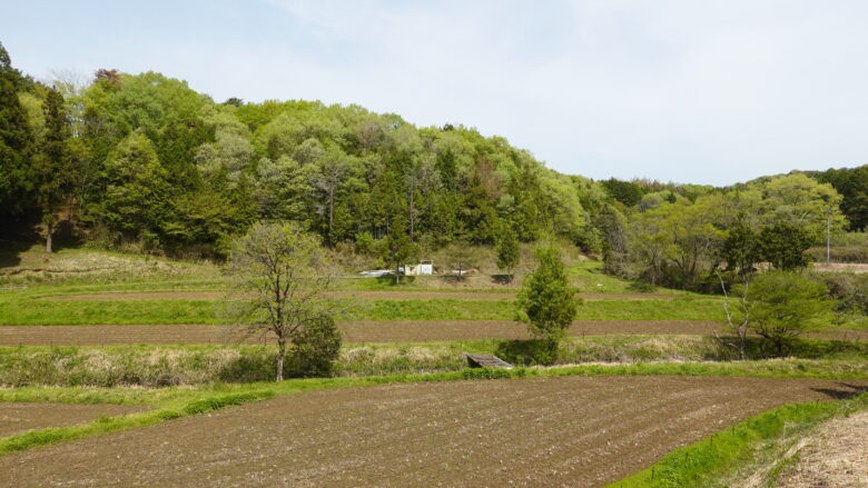 のどかな景色が続く