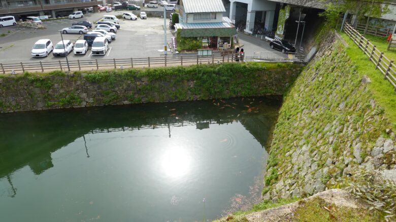 水堀には錦鯉が泳いでいる