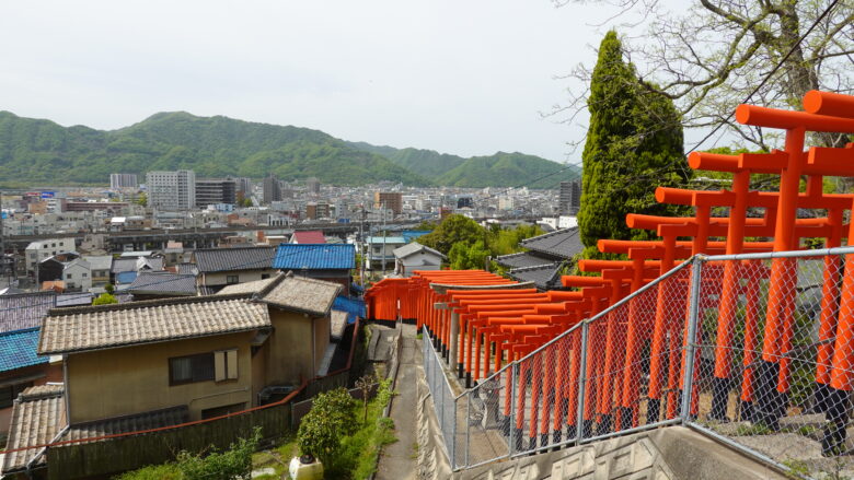 流れるように建ち並ぶ、鳥居の美しさよ