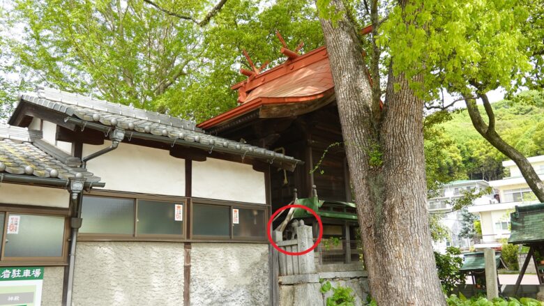 本殿にてお狐様を発見