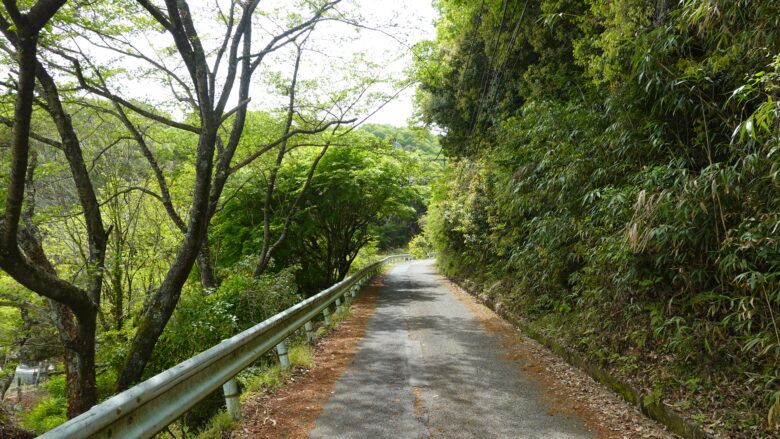 山道の雰囲気が漂ってきた