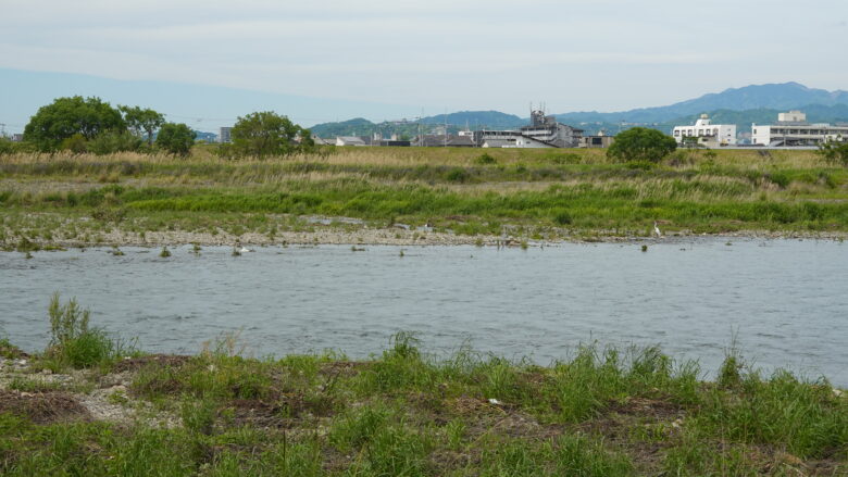 重信川の風景
