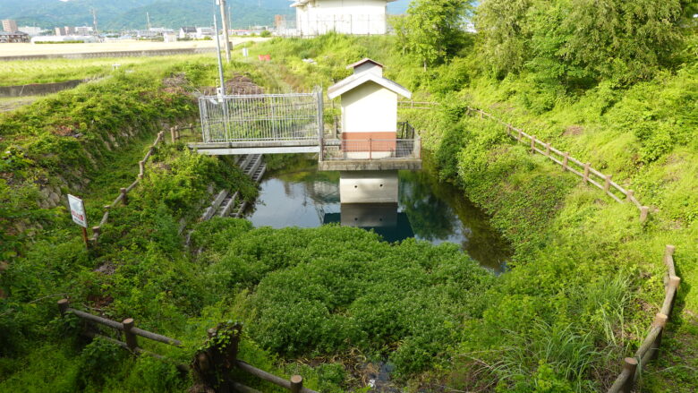 野中泉