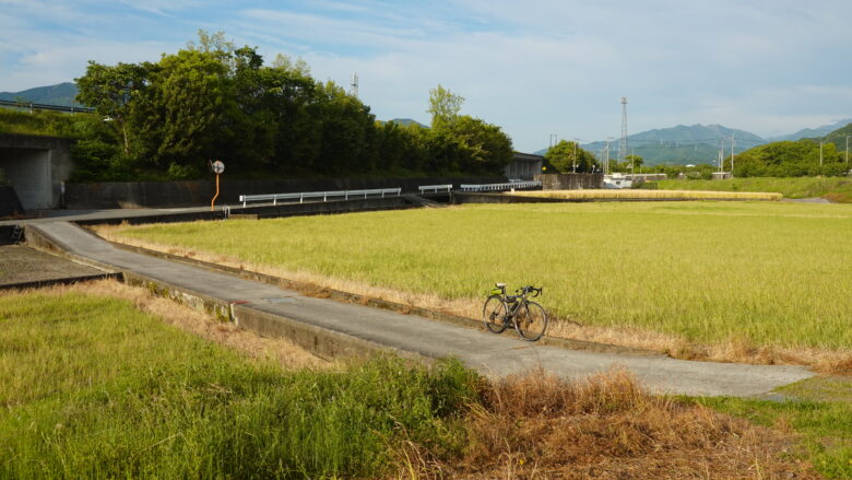 のどかな風景