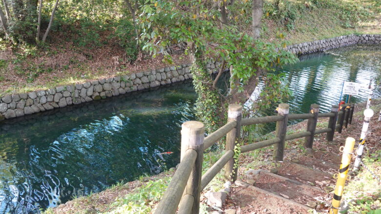 柳原泉