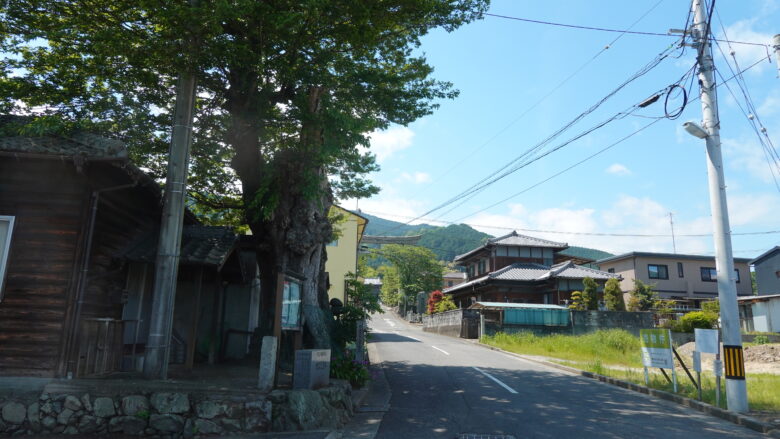 西田のむく