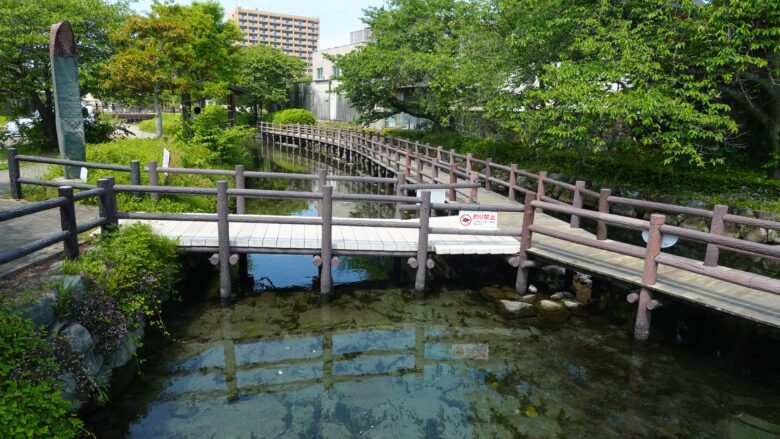 川底が丸見えになるほどの透明度