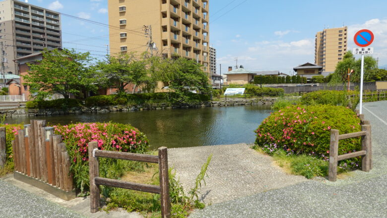 水辺の風景