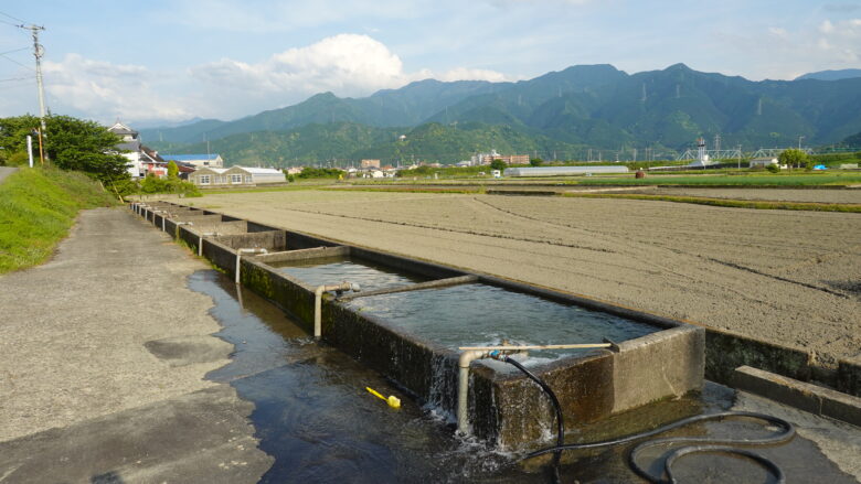 野菜洗い場
