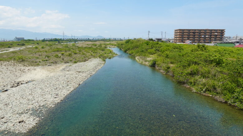 加茂川の透明度よ