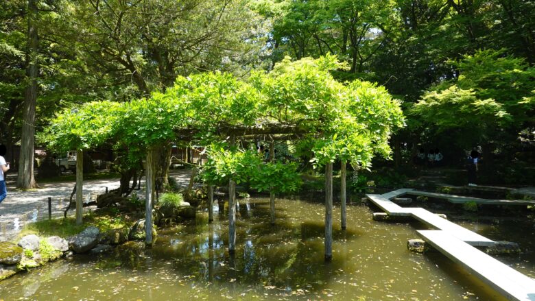 足元に注意して水路を歩こう