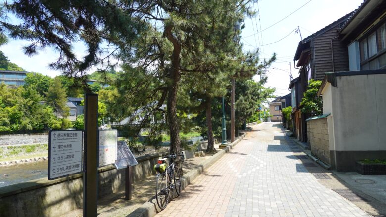 鏡花のみちの風景、クロマツが並ぶ