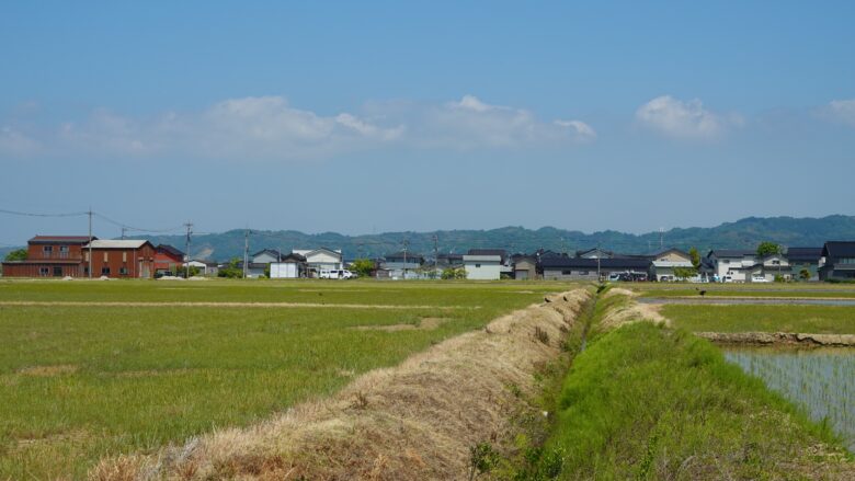 のどかだな~